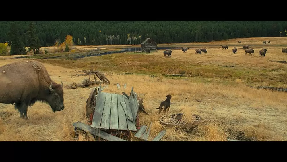 ベラのワンダフル・ホームの画像