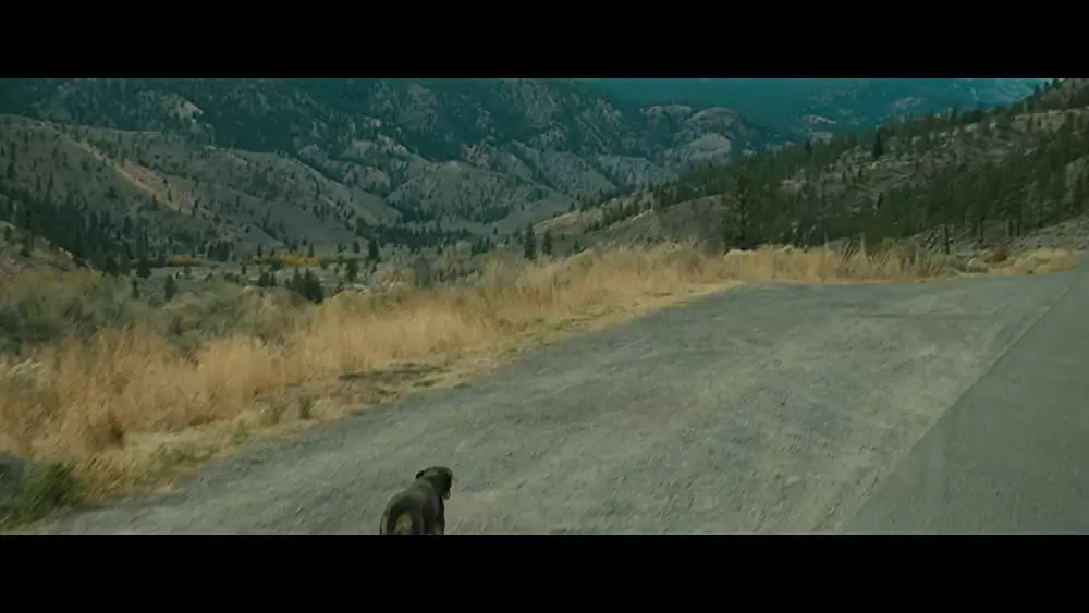 ベラのワンダフル・ホームの画像