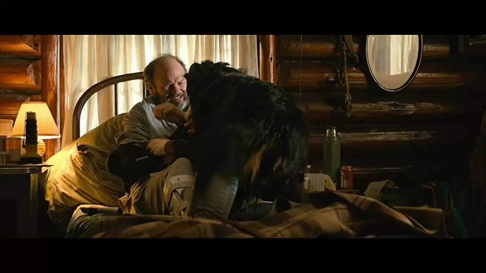 ベラのワンダフル・ホームの画像