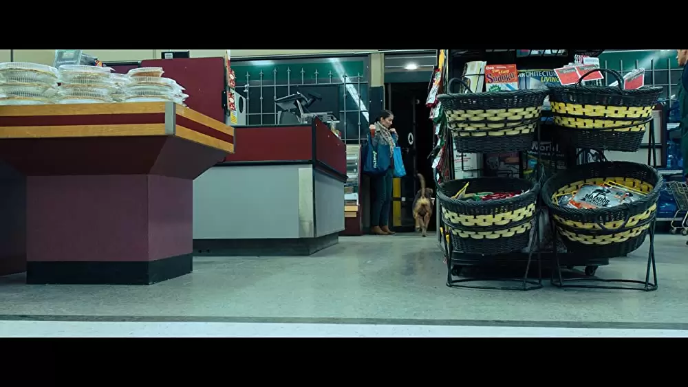 ベラのワンダフル・ホームの画像