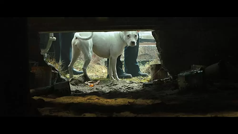 ベラのワンダフル・ホームの画像