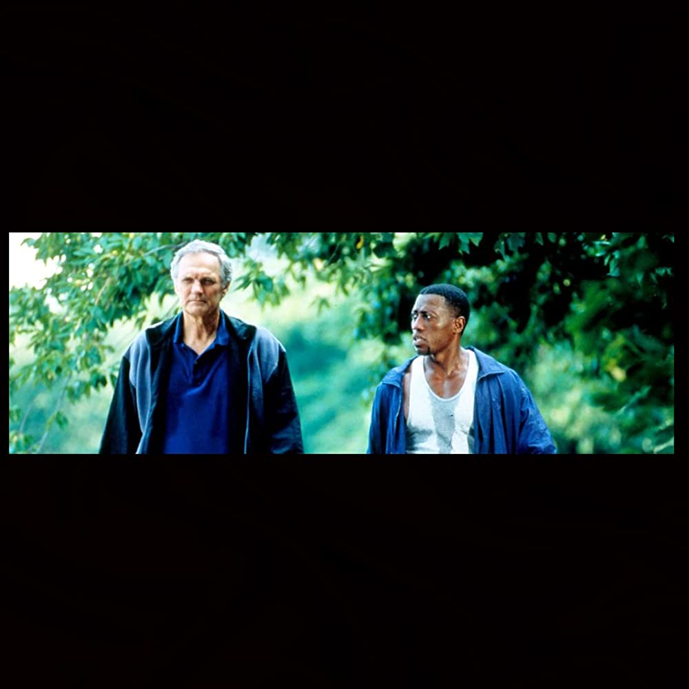 ホワイトハウスの陰謀の画像