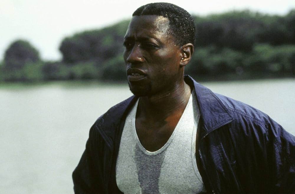 「ホワイトハウスの陰謀」の画像