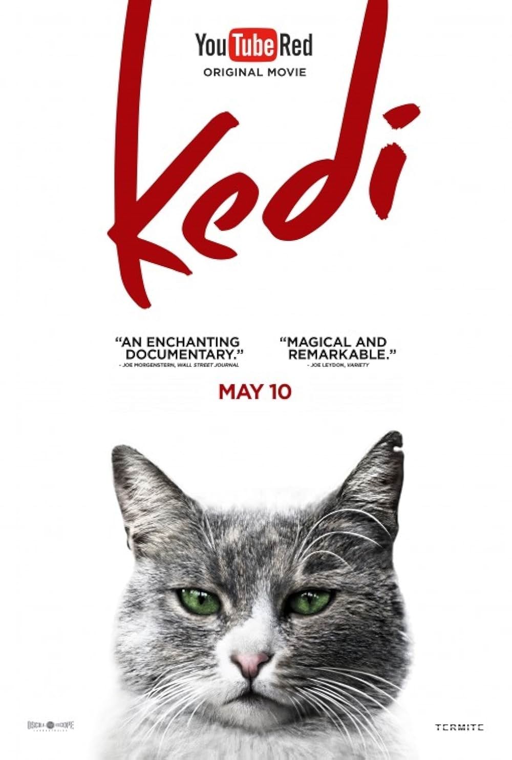 猫が教えてくれたことの画像