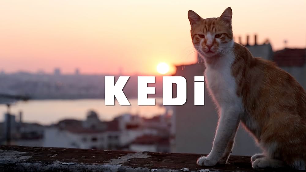 「猫が教えてくれたこと」の画像