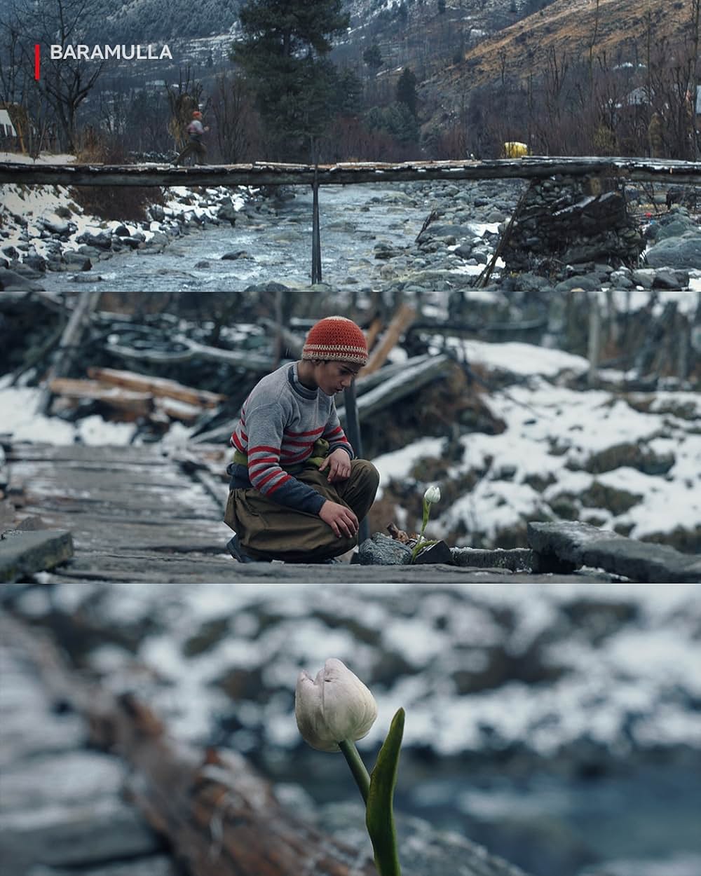 バラムラの画像