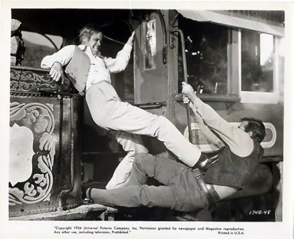 縄張を荒すなの画像