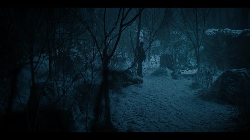 ベリー・ジョナス・クリスマス・ムービーの画像