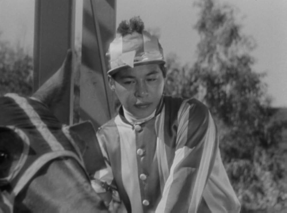 わたし貴婦人よの画像