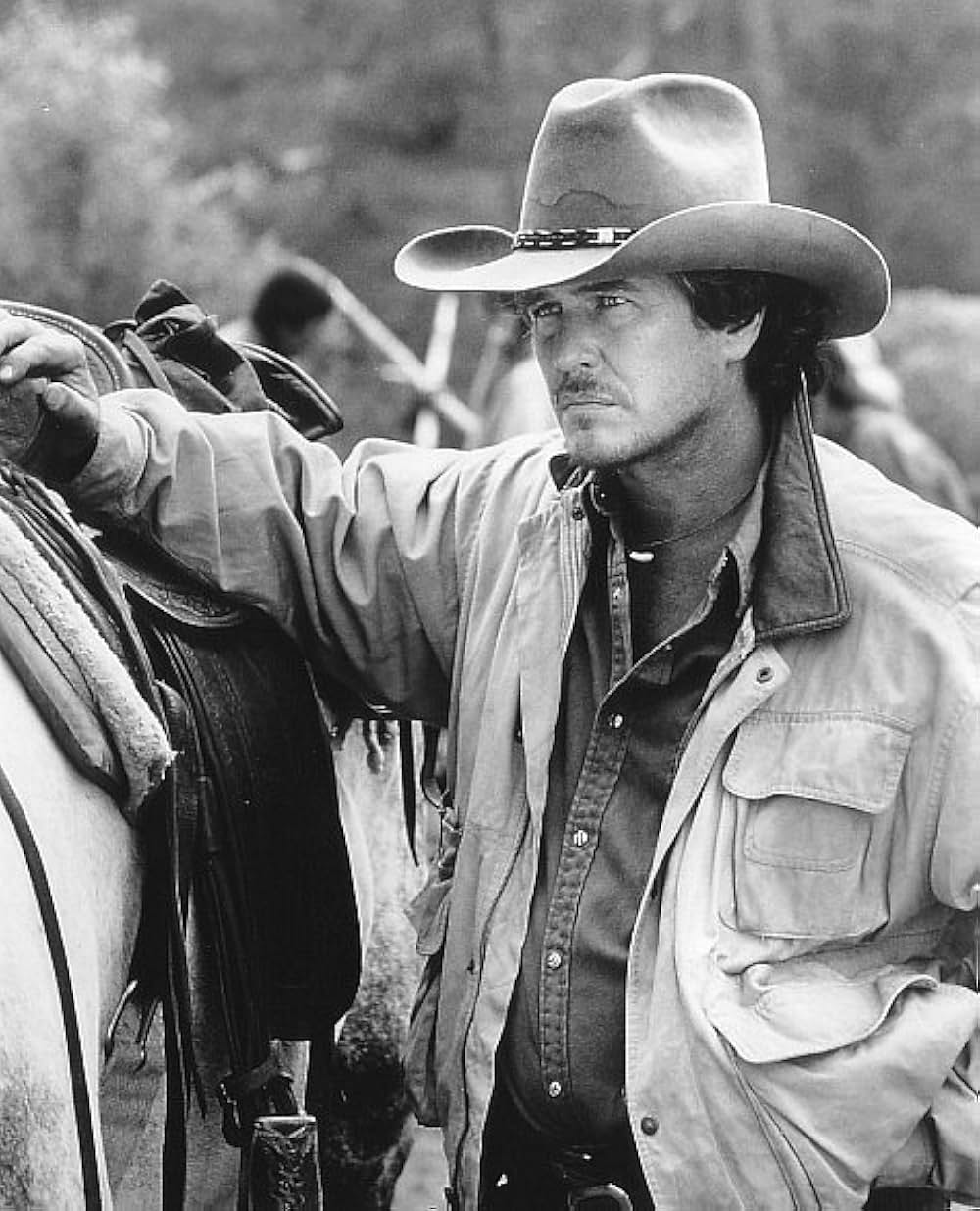 ネイティブ・ハートの画像