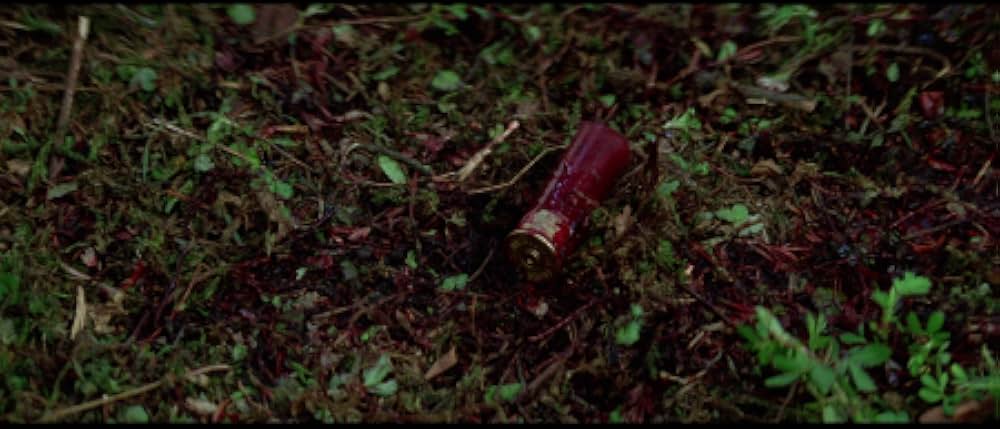 ネイティブ・ハートの画像