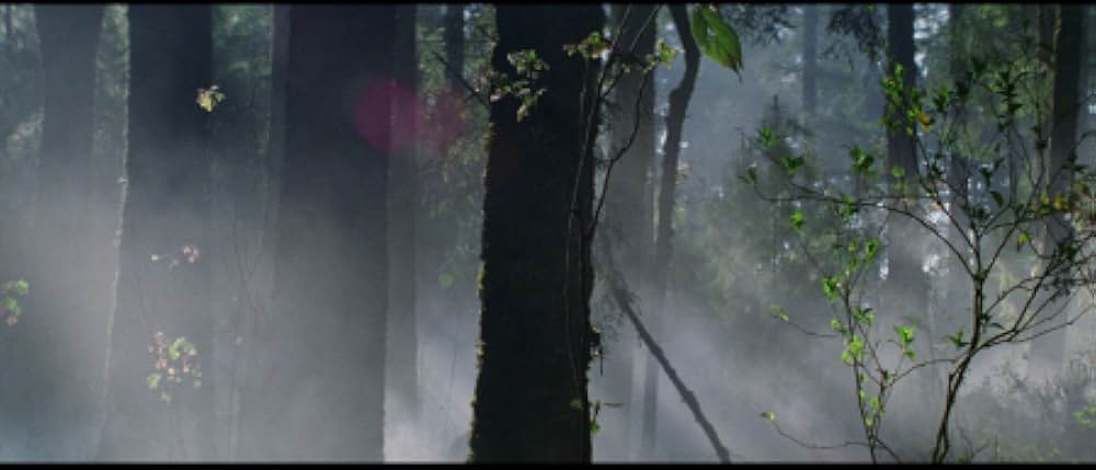 ネイティブ・ハートの画像