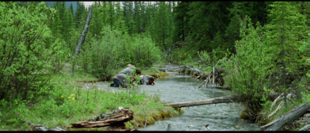 ネイティブ・ハートの画像