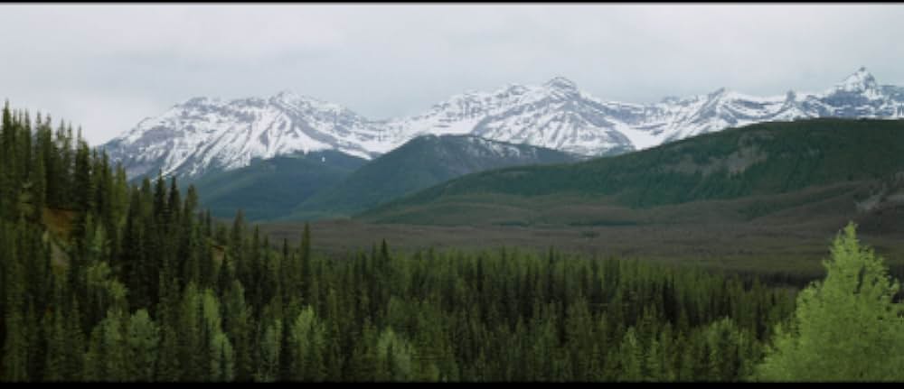 ネイティブ・ハートの画像