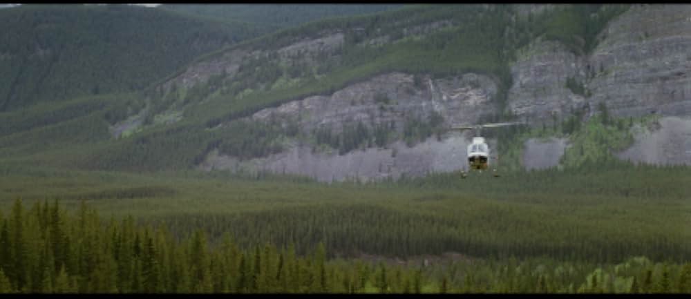 ネイティブ・ハートの画像