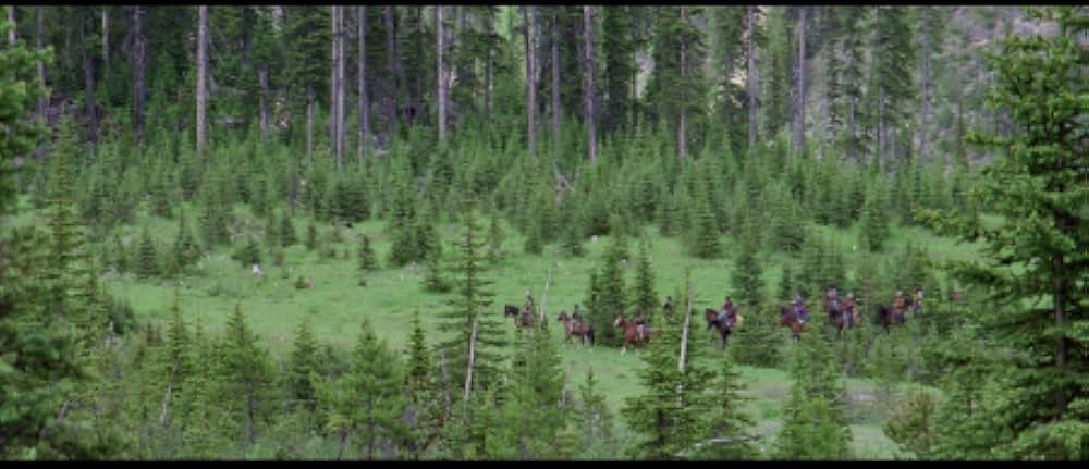 ネイティブ・ハートの写真