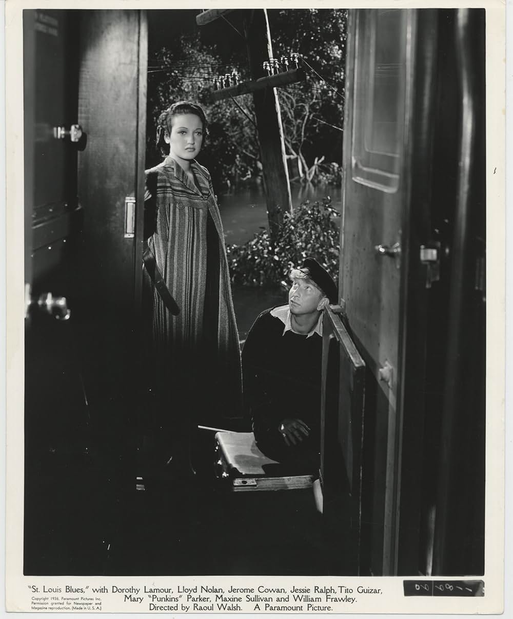 セントルイス・ブルースの写真