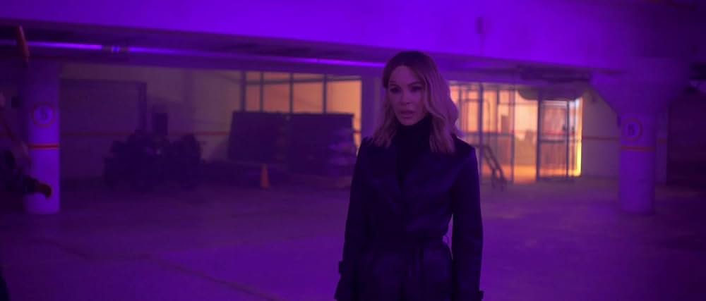 Wildcat（原題）の画像