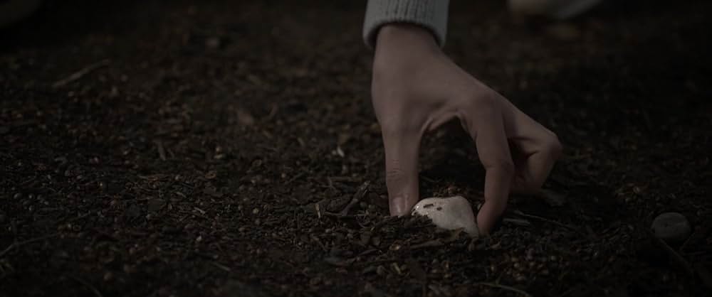 Wildcat（原題）の画像