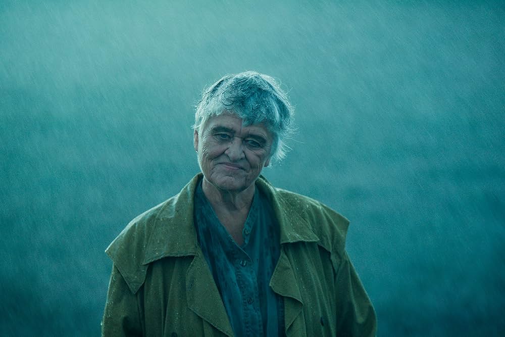 オレンダの画像