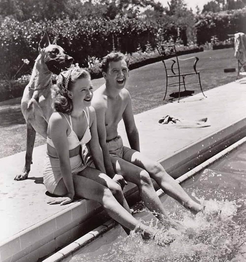 乾杯ペテン師の写真