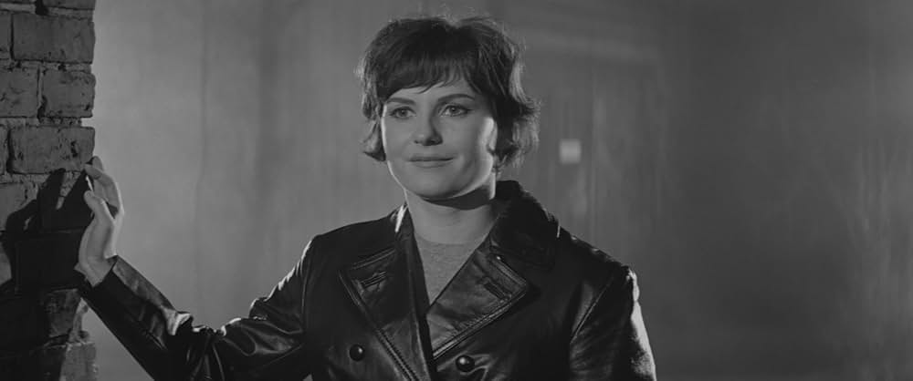 猟奇美女連続殺人の画像