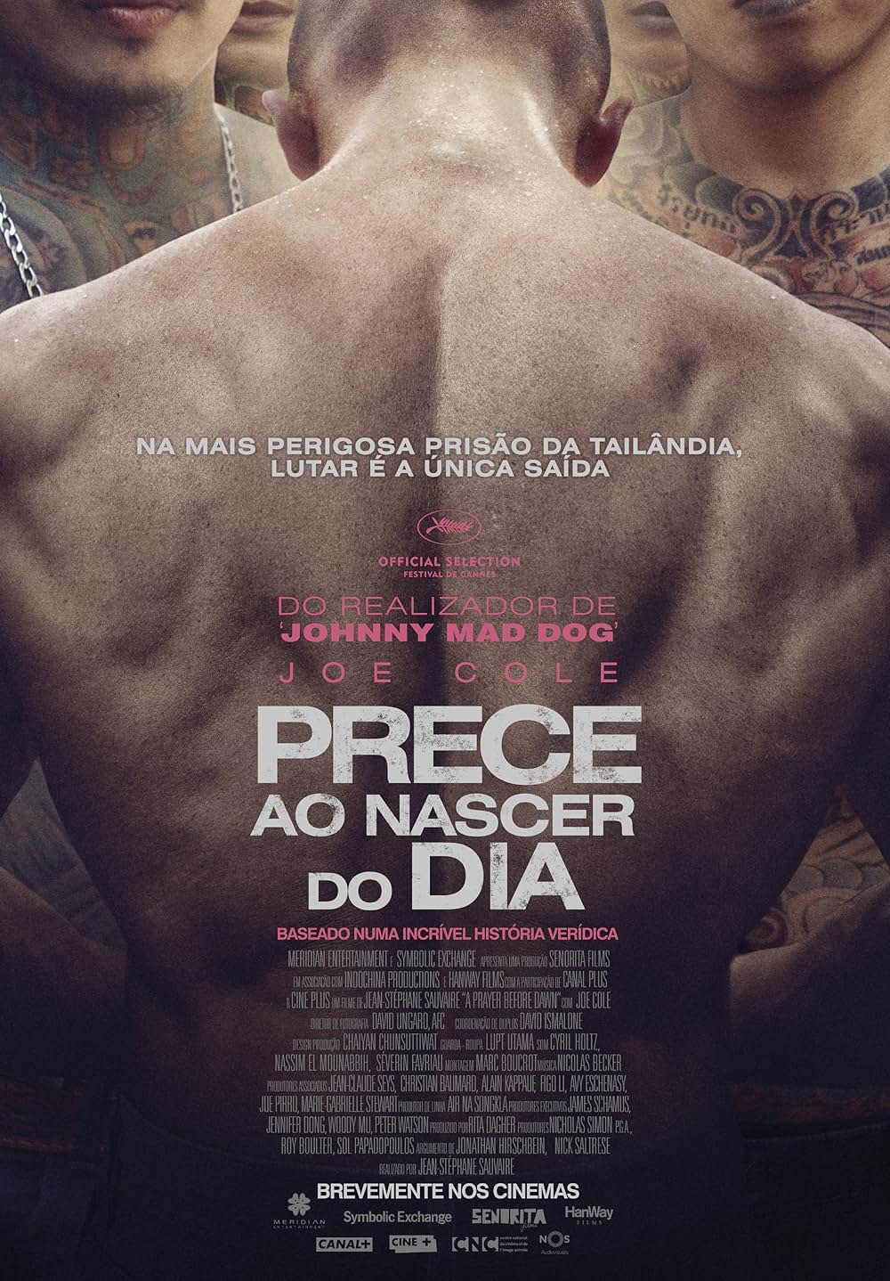 暁に祈れの画像