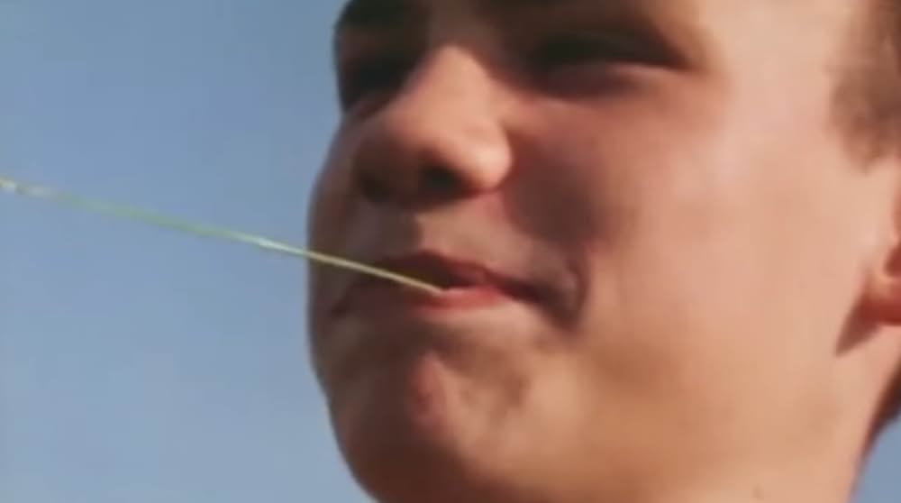 Small Deaths（原題）の画像