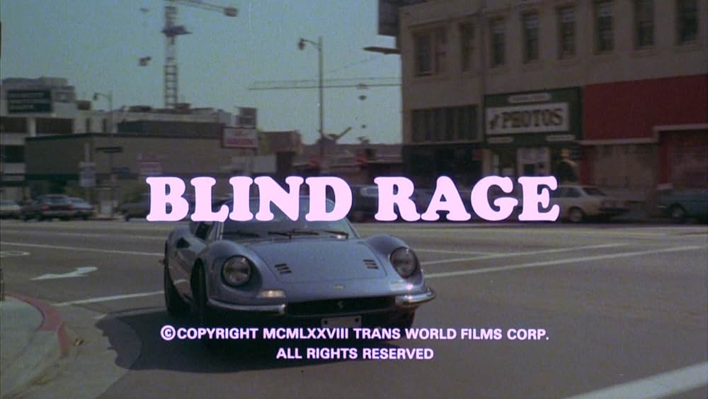 ブラインド・カンフー／白昼の暗殺軍団の画像