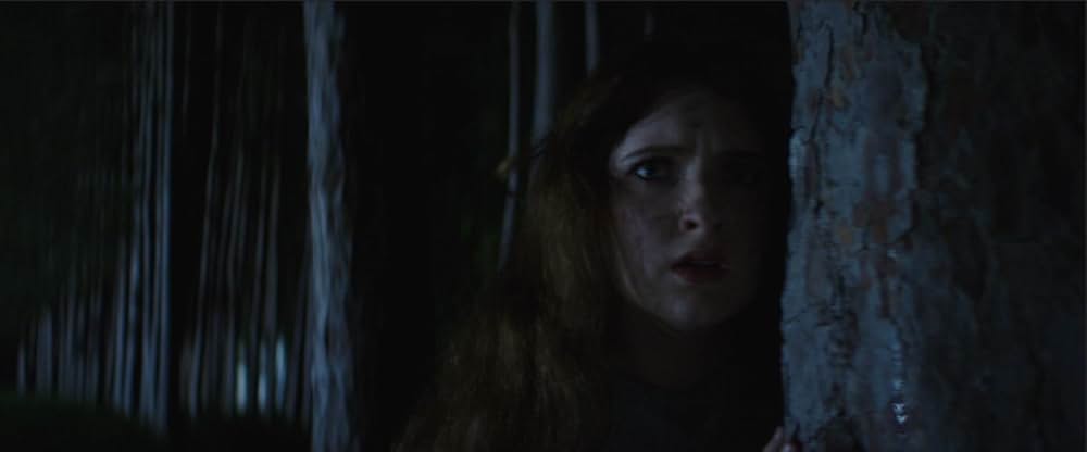 ファイナル・サマー 最終夜の惨劇の写真