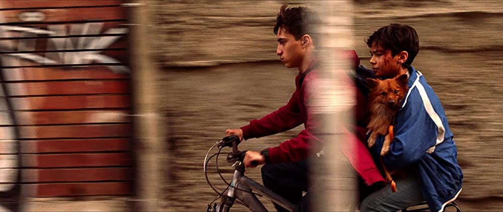 ネバー・ダイ 決意の弾丸の画像