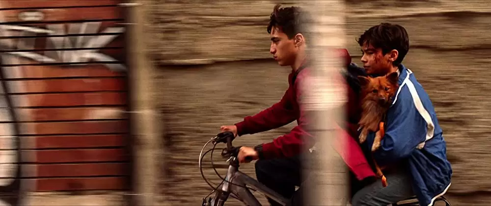 ネバー・ダイ 決意の弾丸の画像