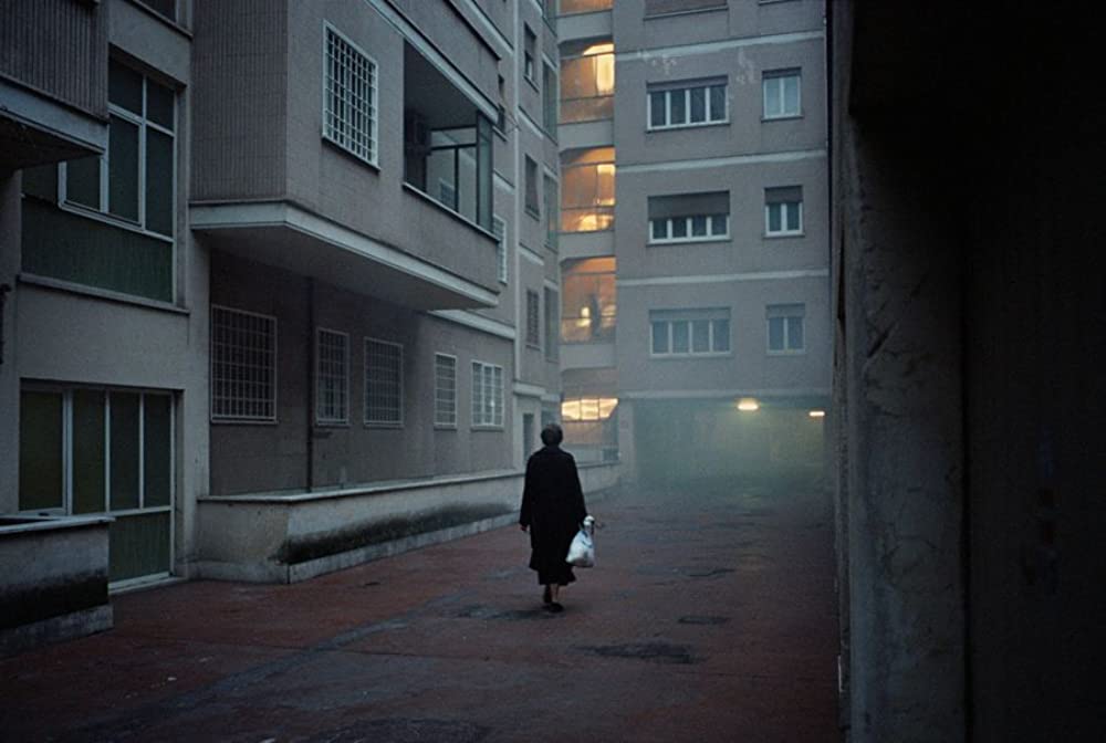 ともしびの画像