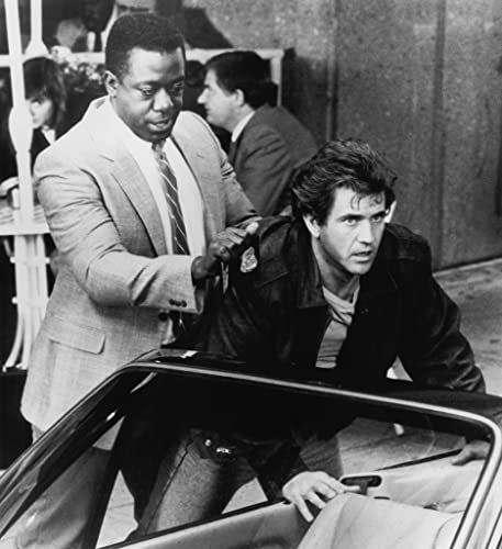 バード・オン・ワイヤーの画像