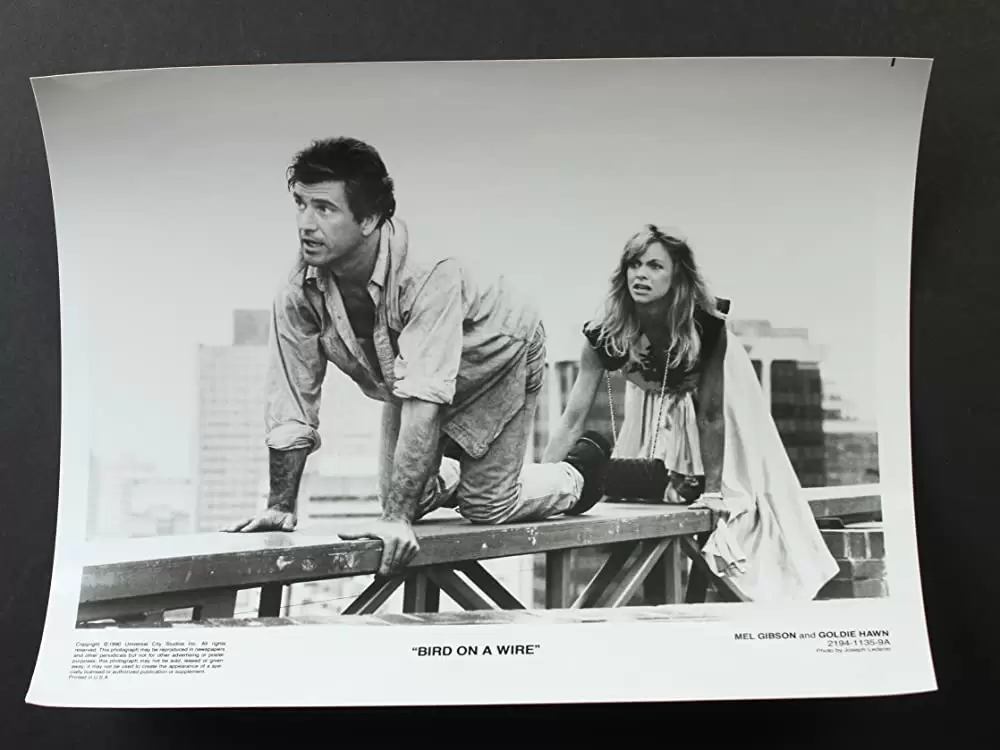 「バード・オン・ワイヤー」メル・ギブソン & ゴールディ・ホーンの画像