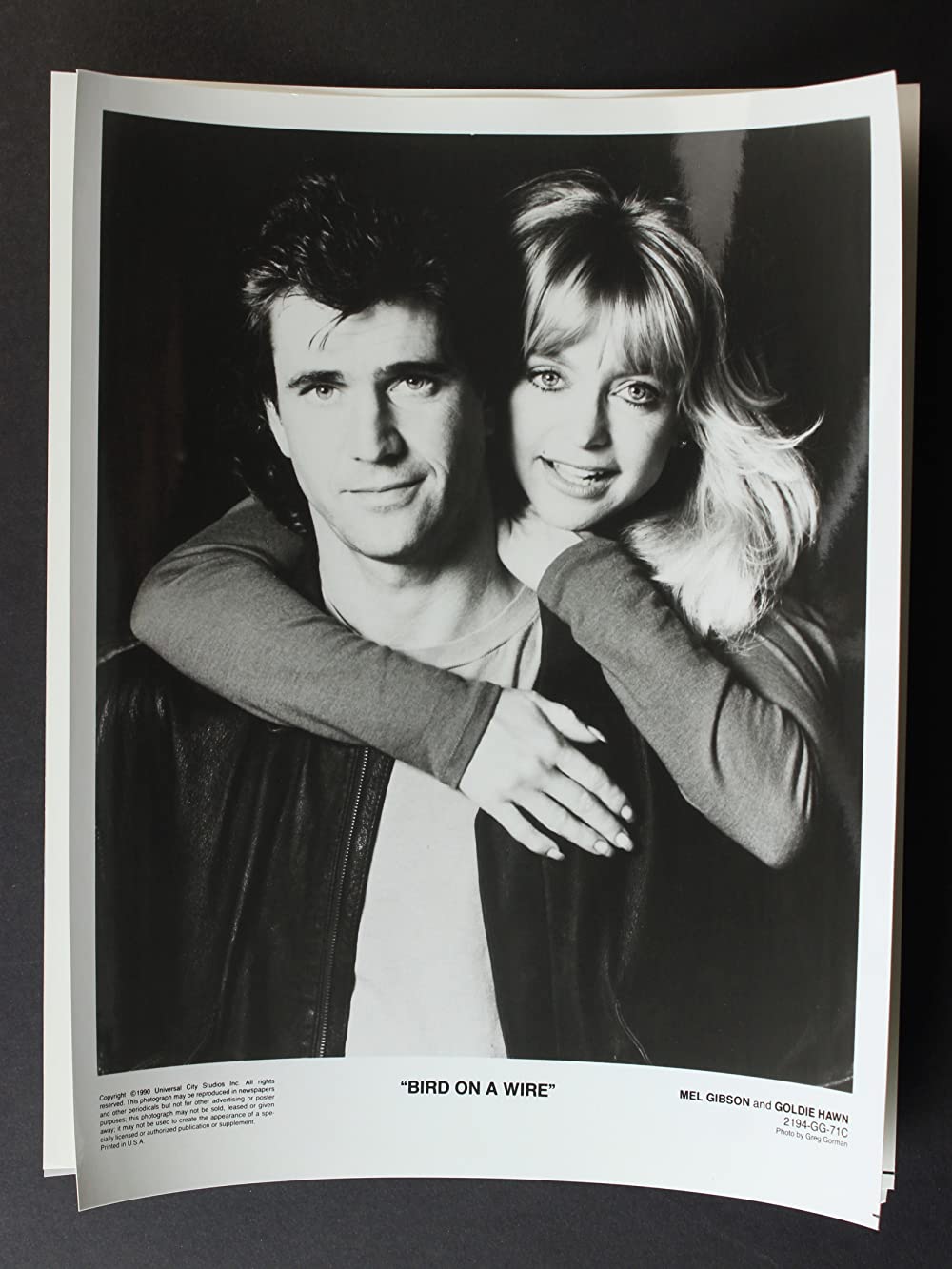 バード・オン・ワイヤーの画像