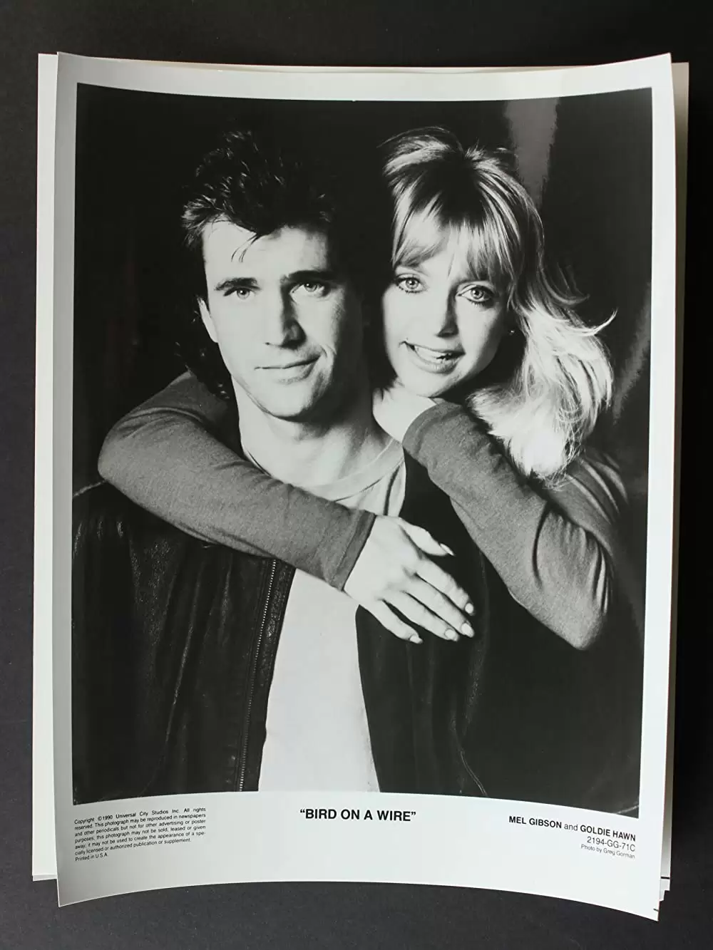 「バード・オン・ワイヤー」メル・ギブソン & ゴールディ・ホーンの画像