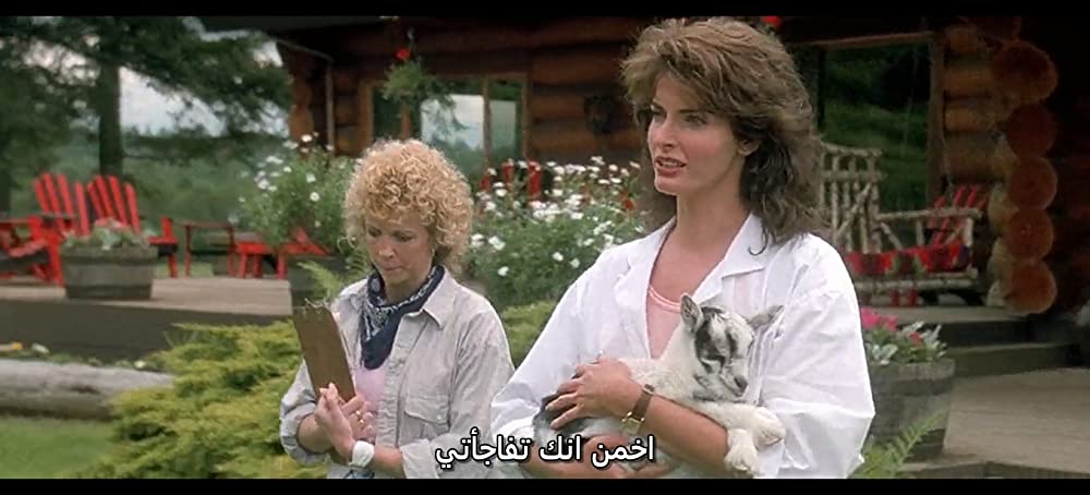 バード・オン・ワイヤーの画像