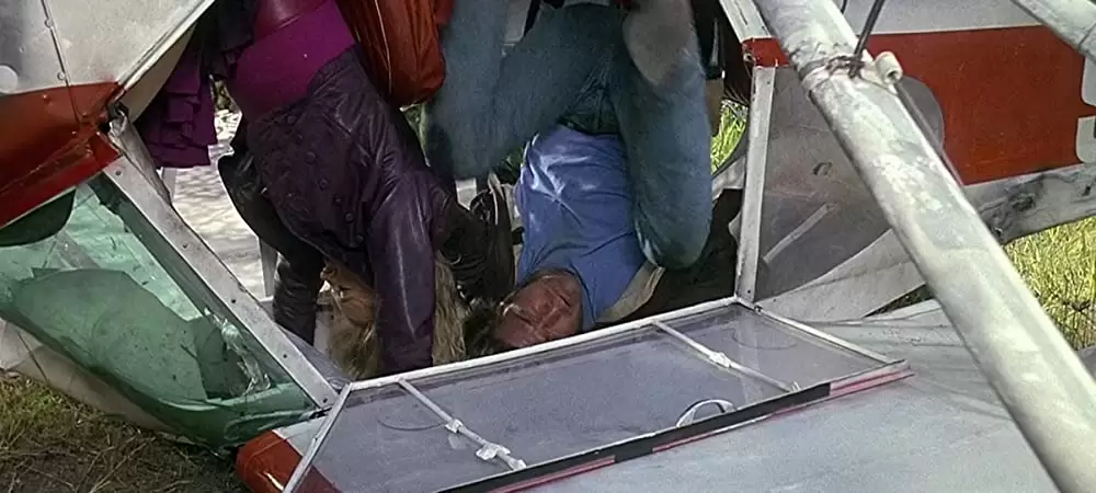 「バード・オン・ワイヤー」メル・ギブソン & ゴールディ・ホーンの画像