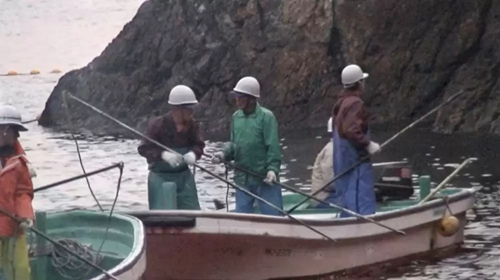 ザ・コーヴの画像