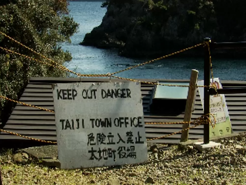 ザ・コーヴの画像