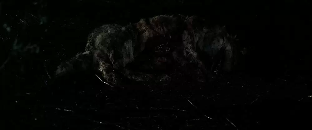 ザ・モンスターの画像