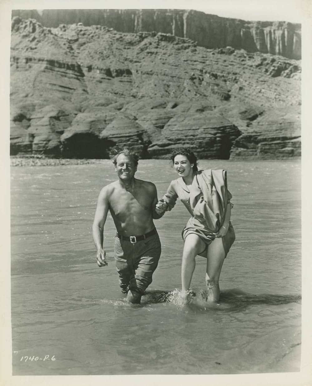 やぶれかぶれの砦の画像