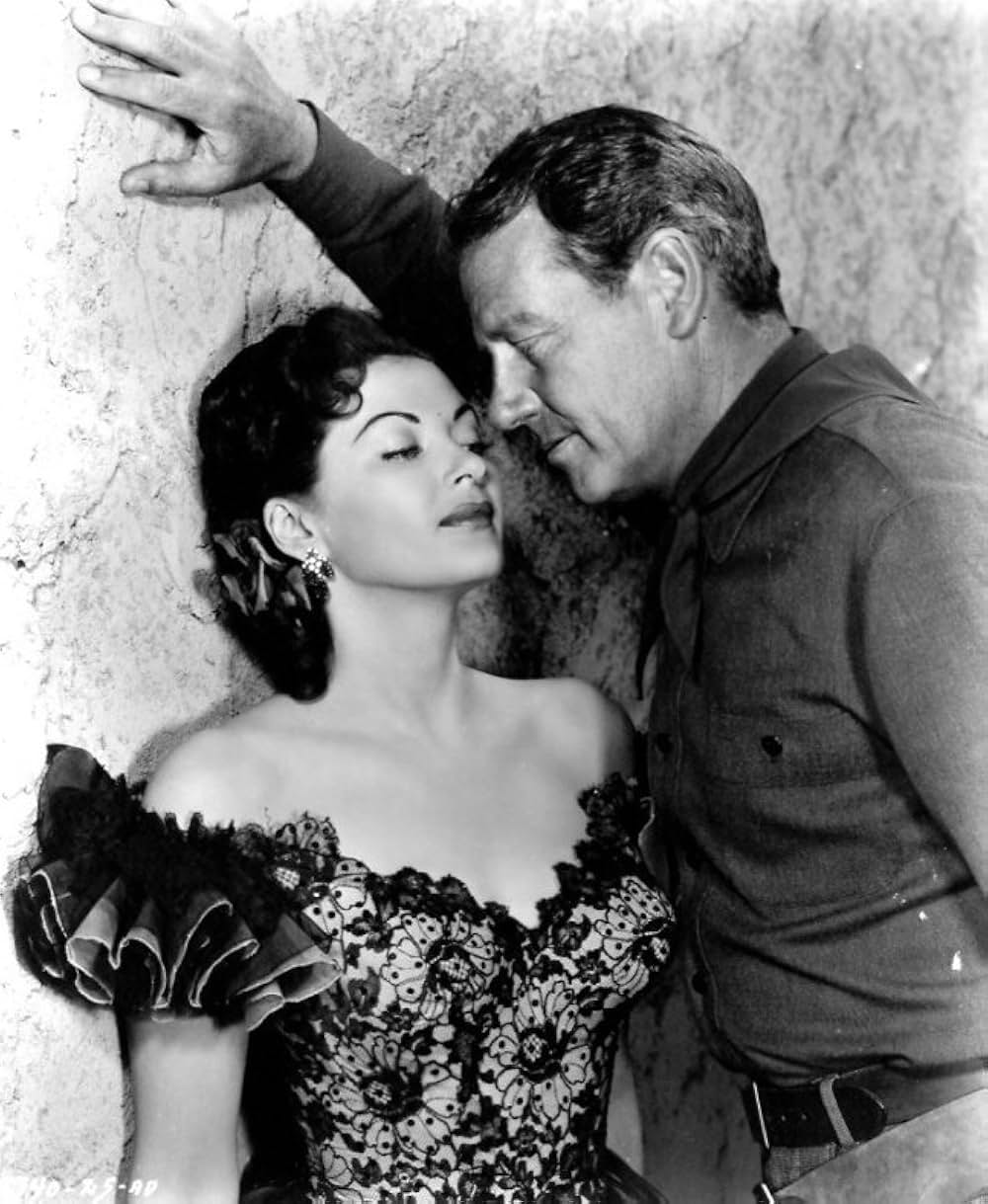 やぶれかぶれの砦の画像