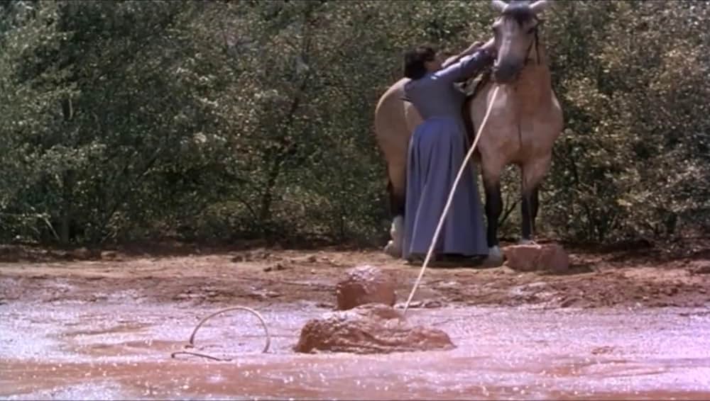 やぶれかぶれの砦の写真