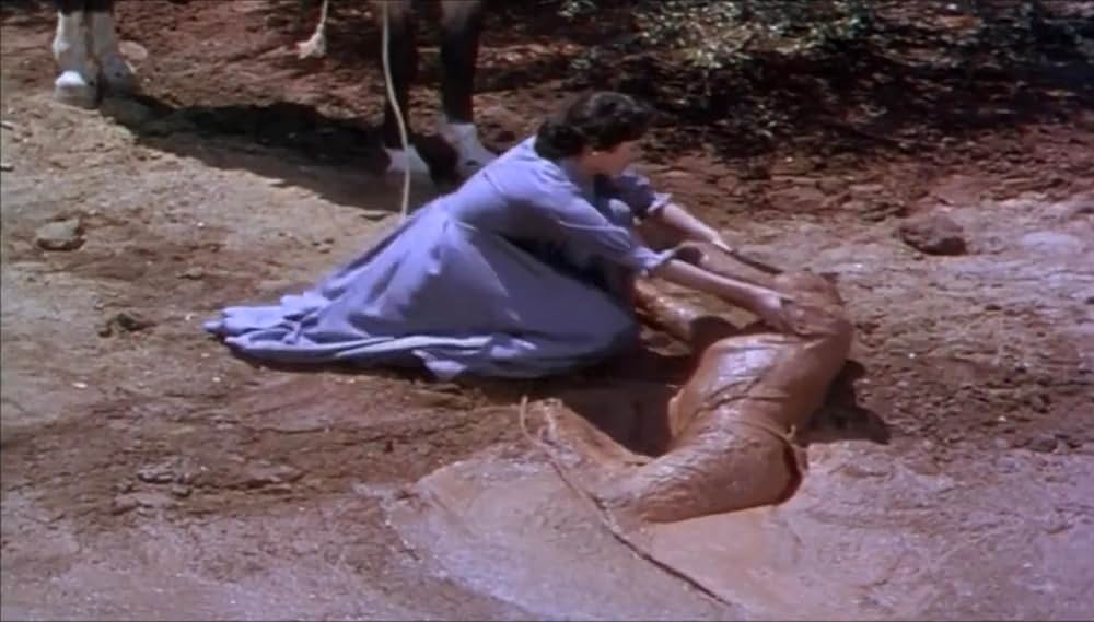 やぶれかぶれの砦の画像