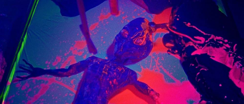 Jimmy and Stiggs（原題）の画像