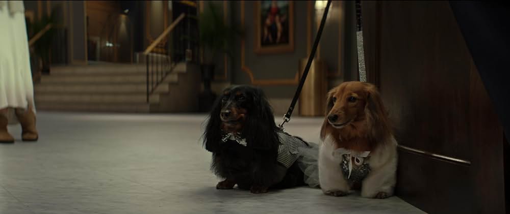 Starbright（原題）の画像