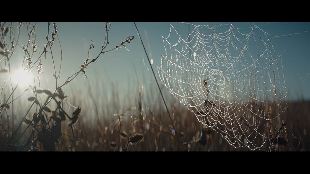 Starbright（原題）の画像