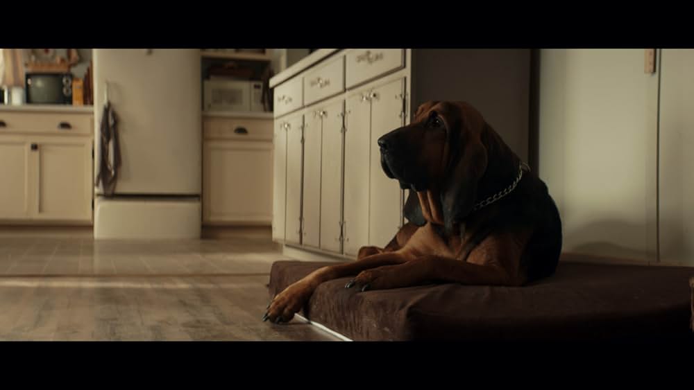 Starbright（原題）の写真